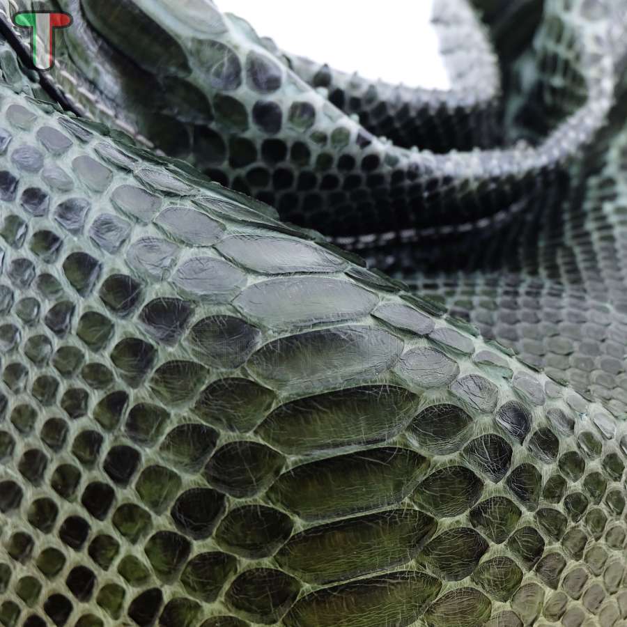 Sem Vaccaro Pitone Verde 453