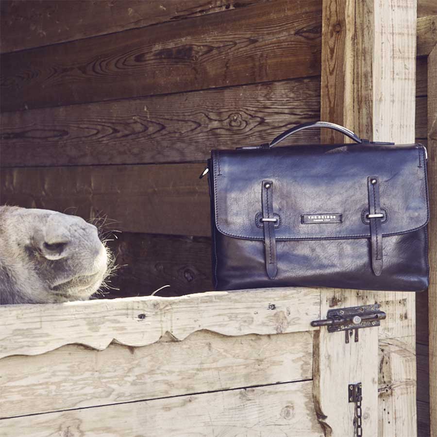 THE BRIDGE 2020 collection